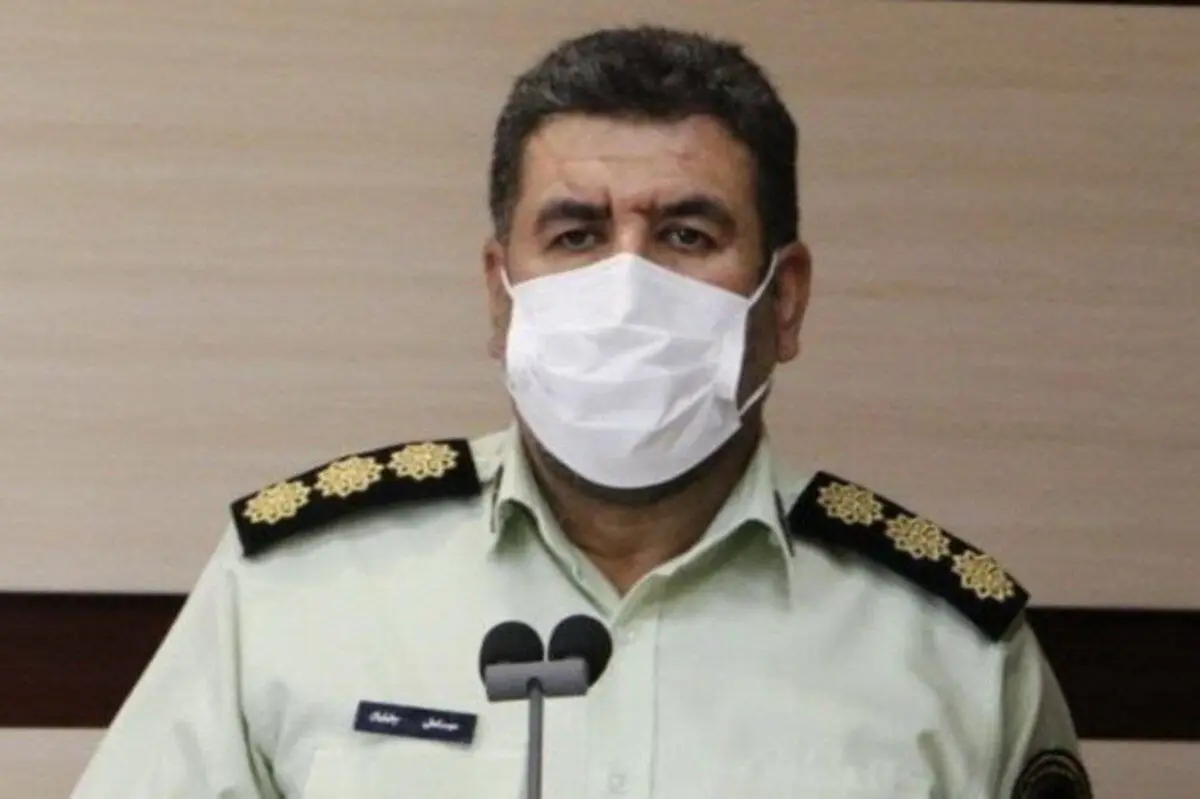 سرقت درخت از پارک