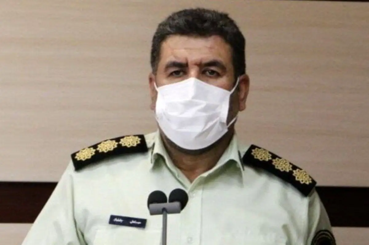 سرقت درخت از پارک