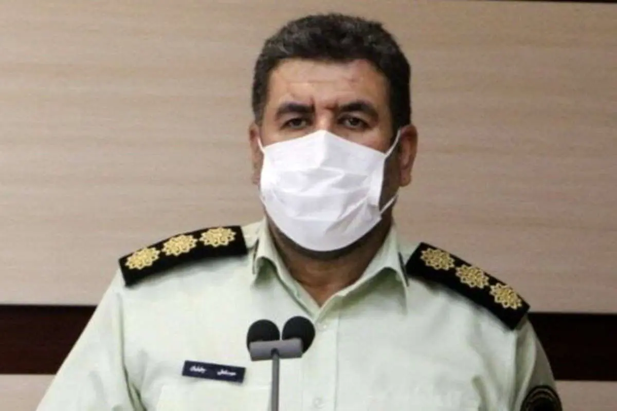 سرقت درخت از پارک