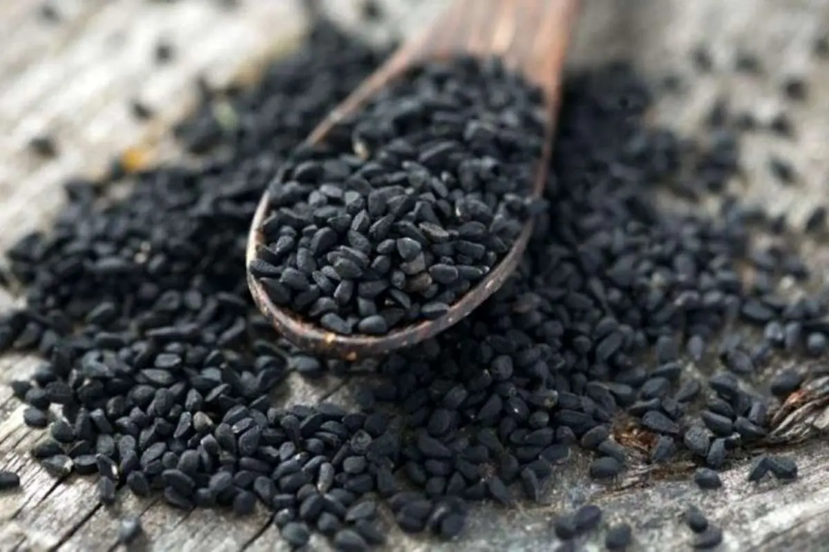 واردات سیاه‌دانه ممنوع شد