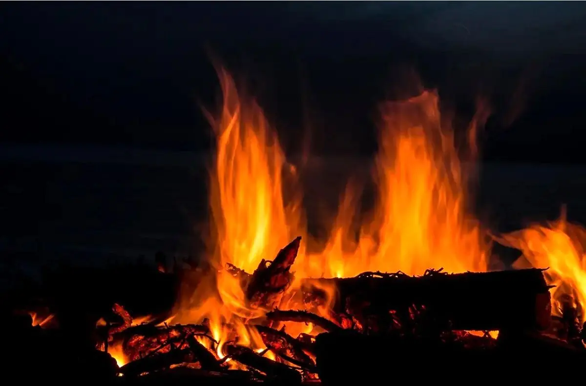 کشف قدیمی‌ترین شواهد استفاده انسان از آتش