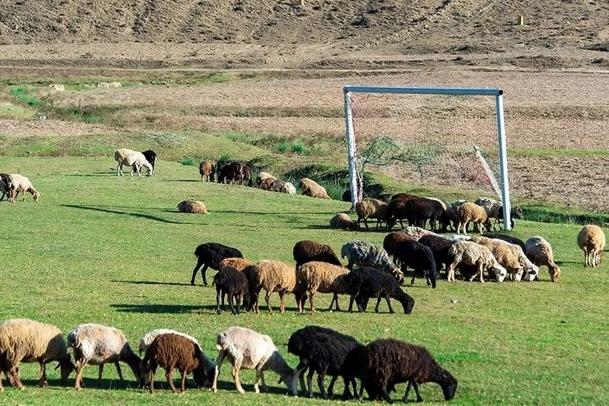 (تصاویر) زمین فوتبال گَت چمن در مازندران