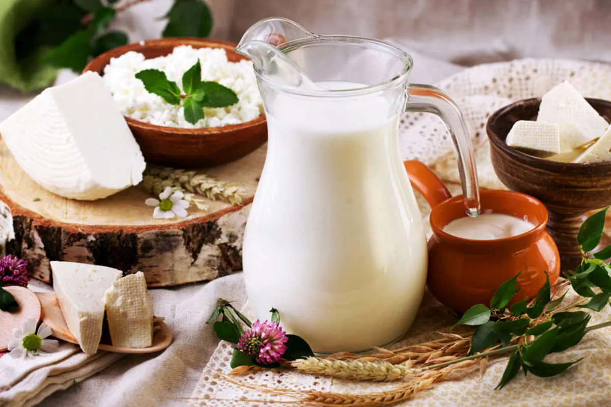 آیا لبنیات پرچرب میتواند برای قلب مفید باشد؟