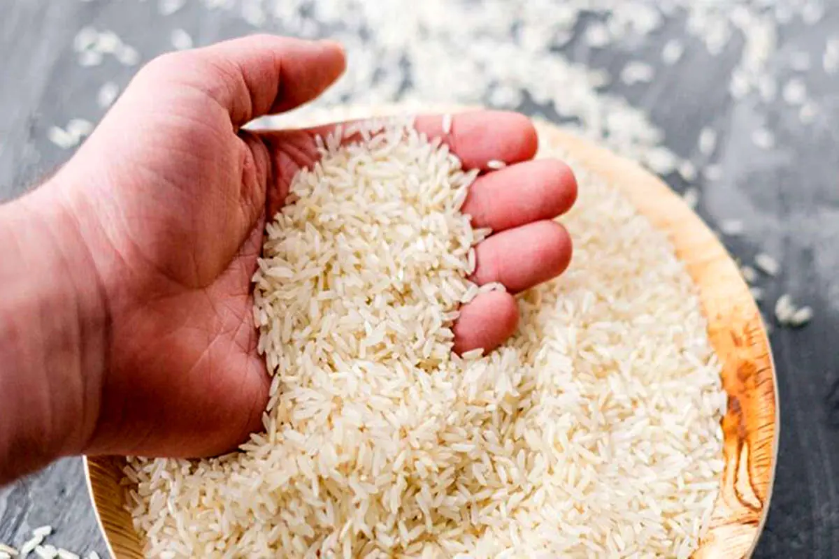 کاهش ۱۰ تا ۱۲ درصدی قیمت برنج به دلیل رکود