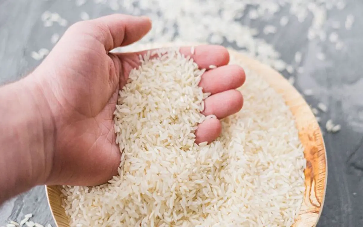 کاهش ۱۰ تا ۱۲ درصدی قیمت برنج به دلیل رکود