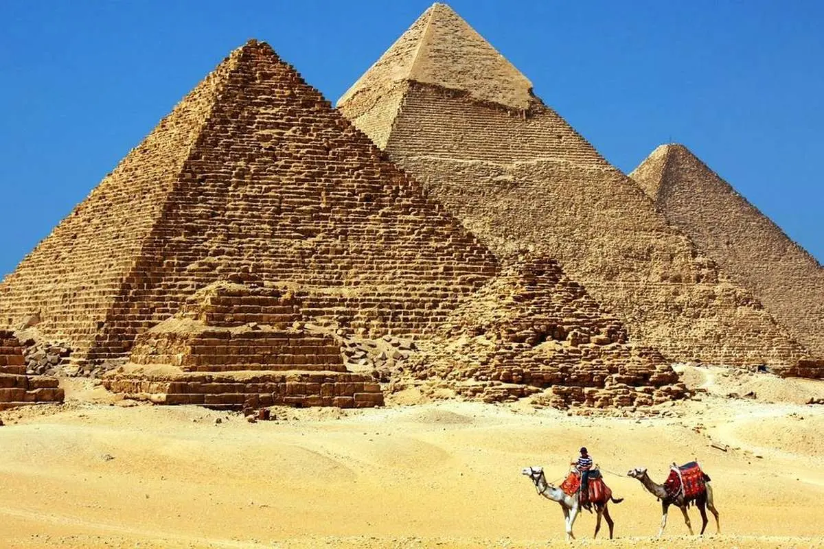تصاویری جذاب از مومیایی حیوانات در مصر باستان