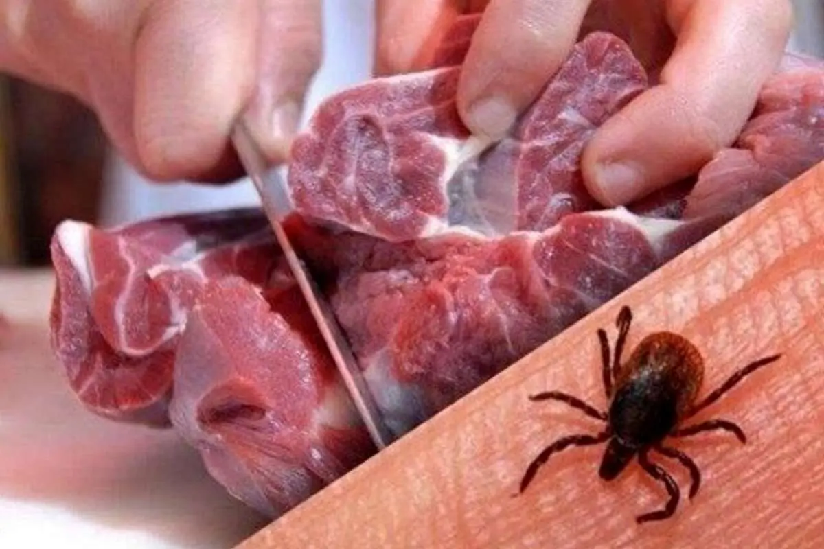 وزارت بهداشت: تاکنون ۵۱ نفر به تب کریمه کنگو مبتلا شدند