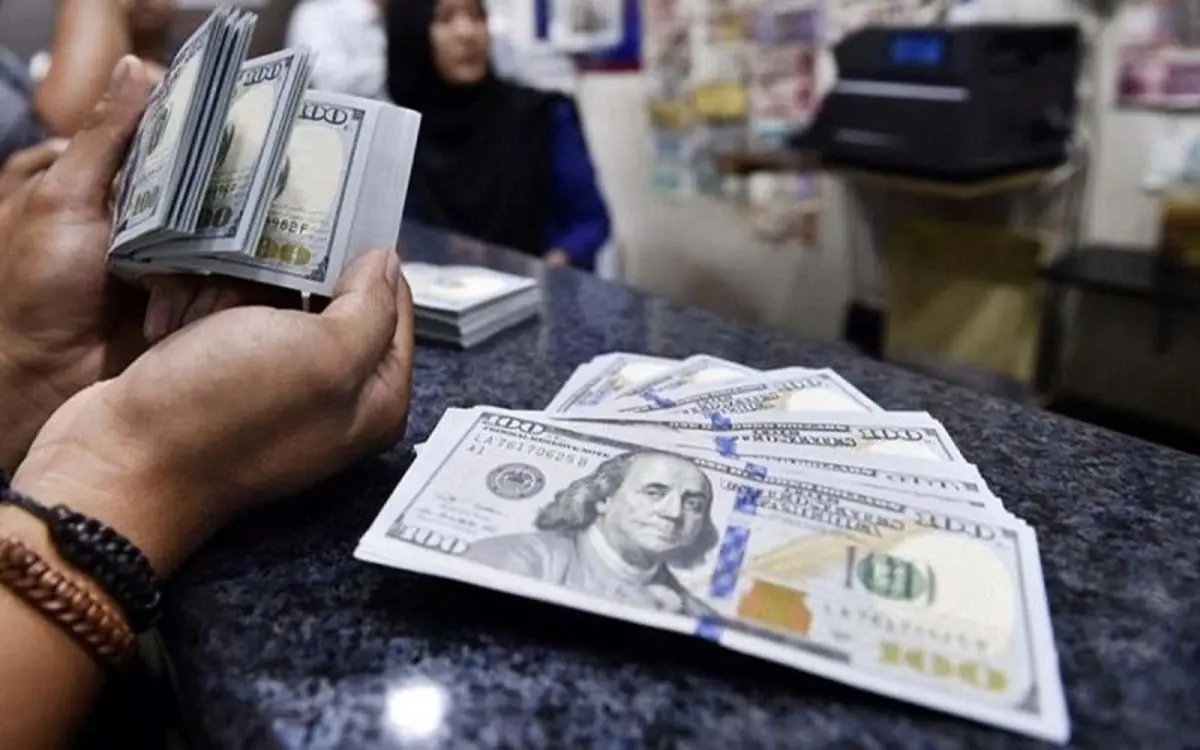 رئیس سازمان برنامه و بودجه: بازگشت ارز ۴۲۰۰ تومانی درست نیست