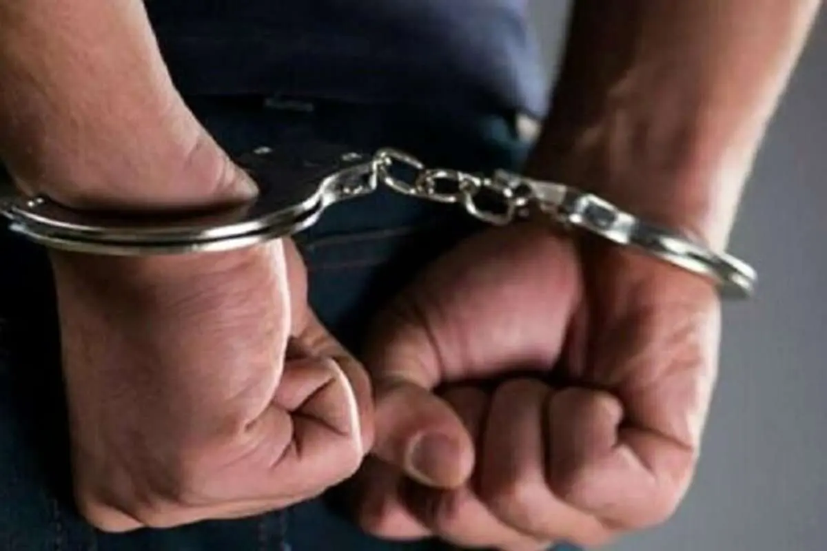 بازداشت عاملان کشتن یک خرس و تولهاش در ایذه