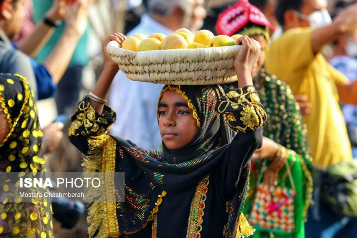 (تصاویر) جشنواره شکرگزاری انبه در میناب