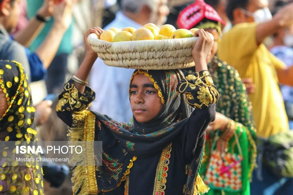 (تصاویر) جشنواره شکرگزاری انبه در میناب