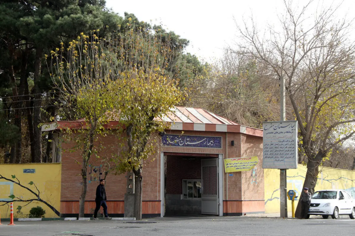 مگسی که باعث ثروت یک تهرانی شد!