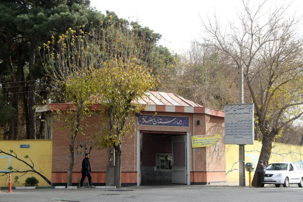 مگسی که باعث ثروت یک تهرانی شد!