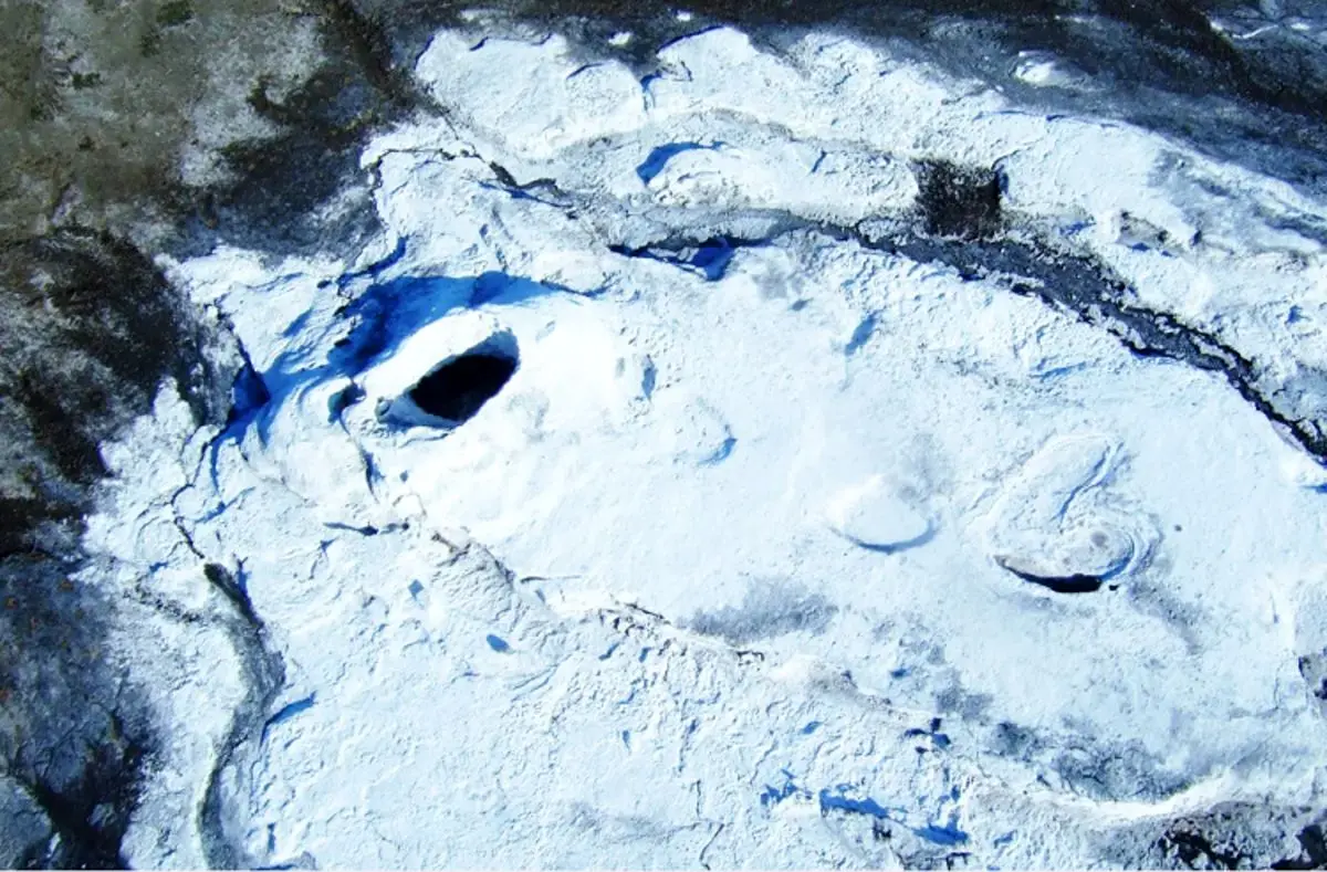 میکروب‌های مریخی در زمین؟