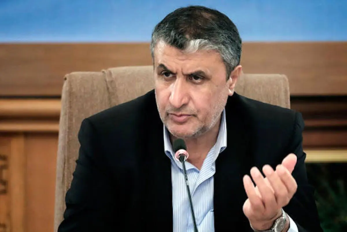 رییس سازمان انرژی اتمی: ایران برای پیشبرد اهدافش اجازه نمی‌گیرد