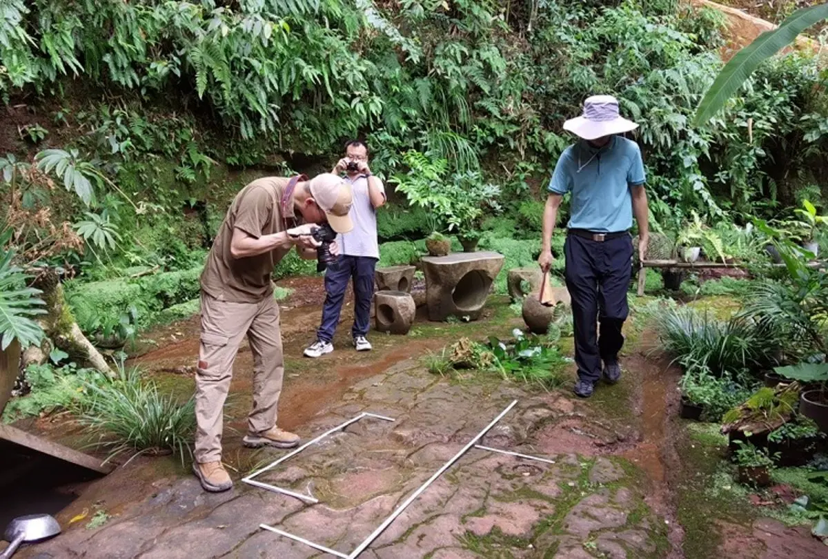 (تصاویر) کشف رد پای دایناسور ۱۰۰ میلیون ساله در یک رستوران!