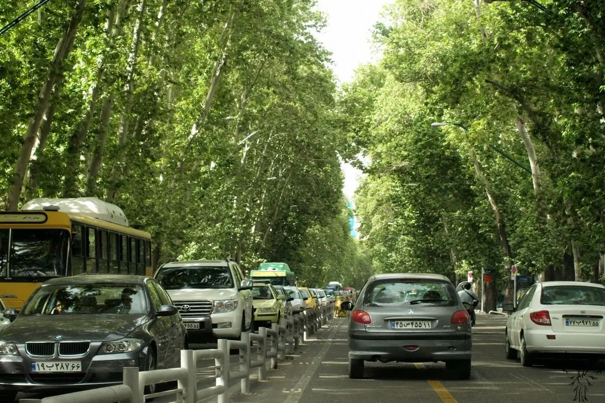 (ویدئو) خشک کردن عمدی درختان در خیابان ولیعصر!