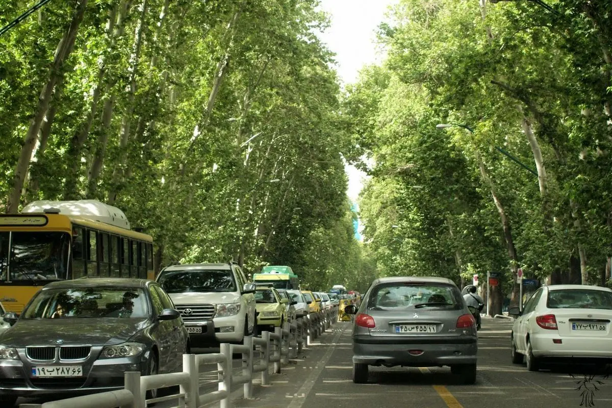 (ویدئو) خشک کردن عمدی درختان در خیابان ولیعصر!