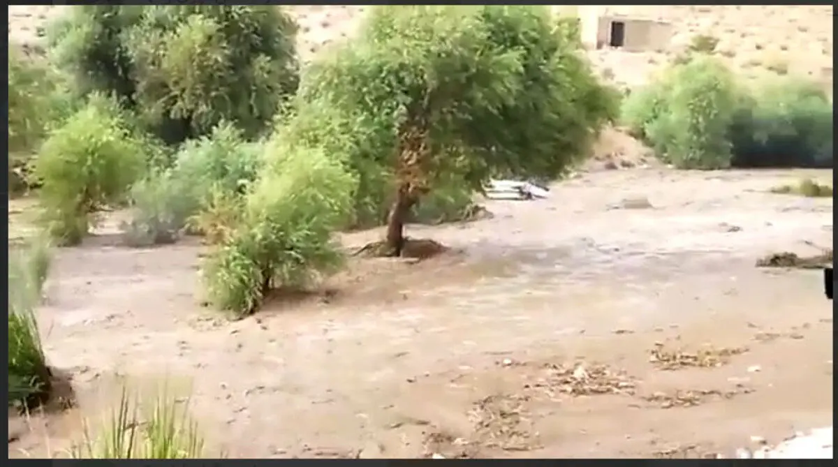 (ویدئو) مرگ شش نفر در سیل استان فارس