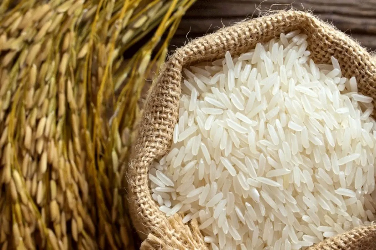 ممنوعیت واردات برنج لغو شد