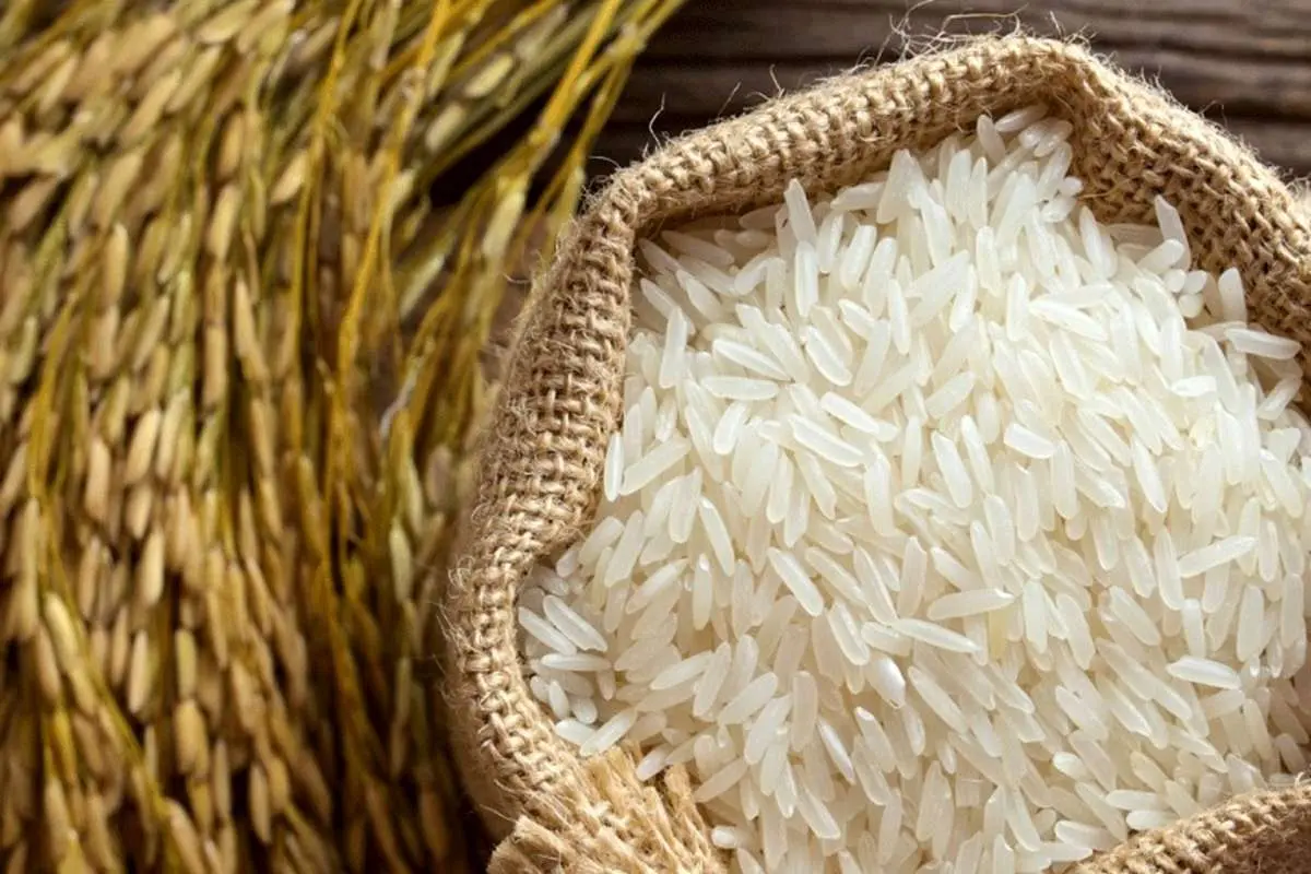 ممنوعیت واردات برنج لغو شد