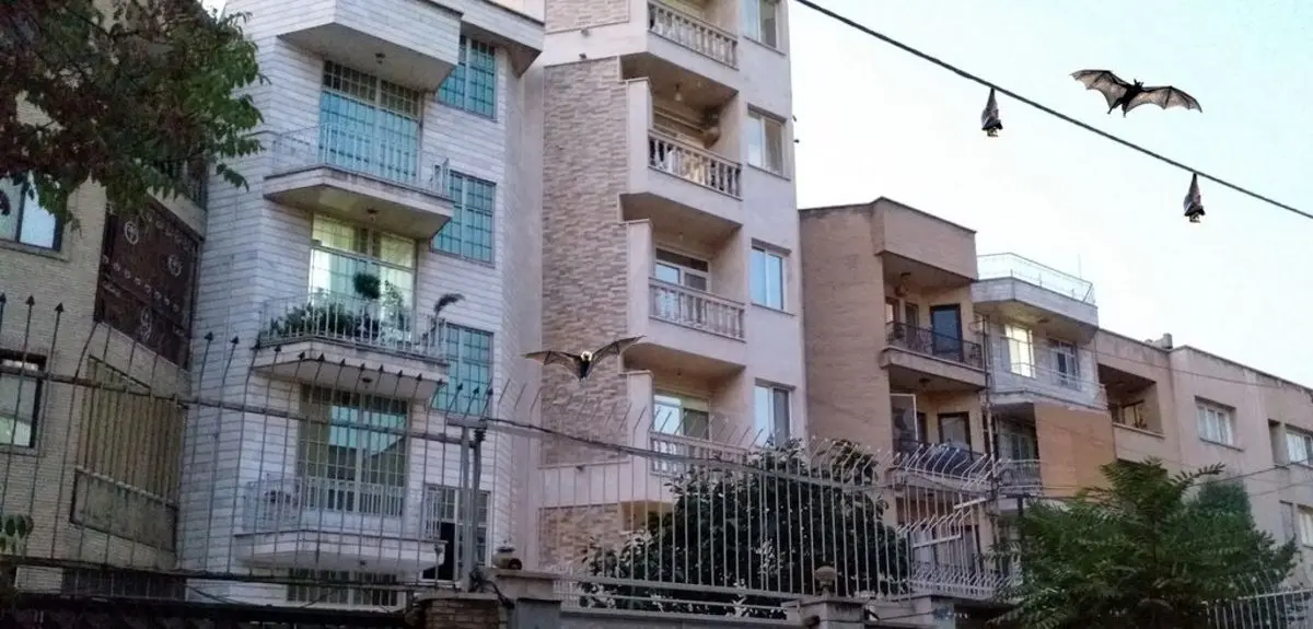 (ویدئو) حمله خفاش‌ها به غرب تهران