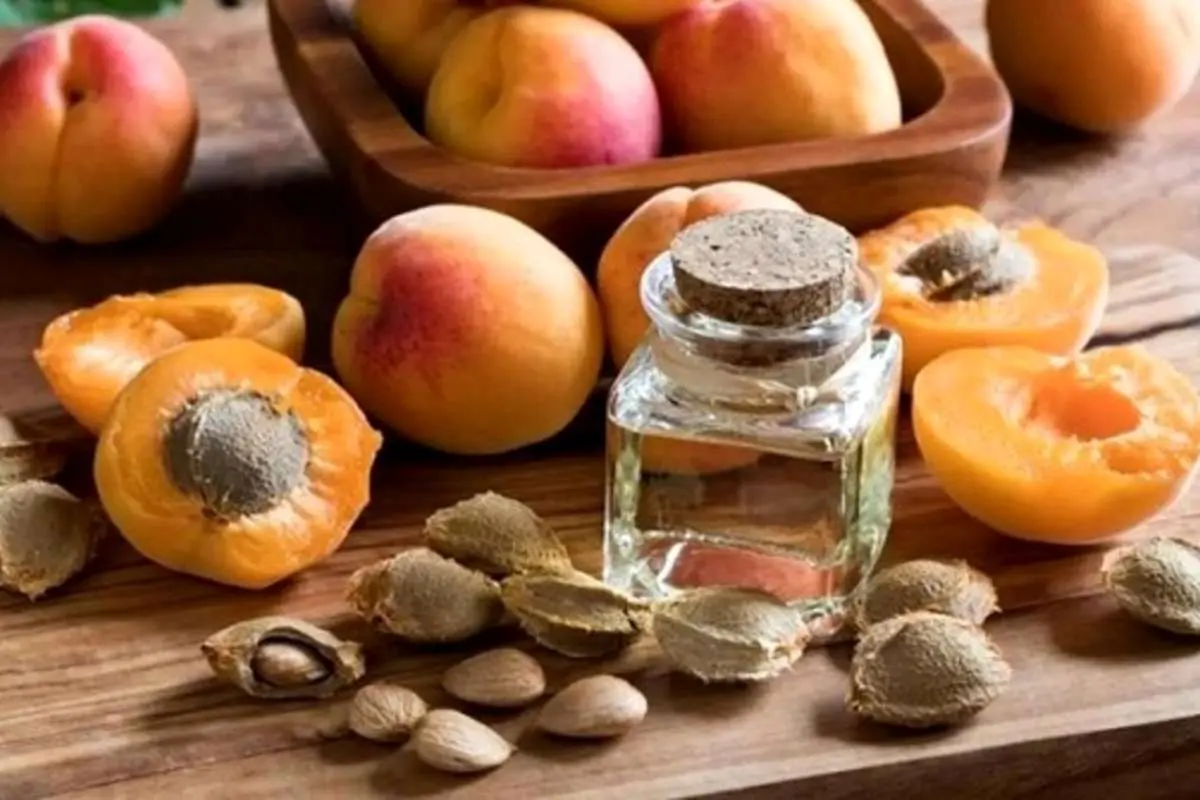 هسته زردآلو را دور نریزید