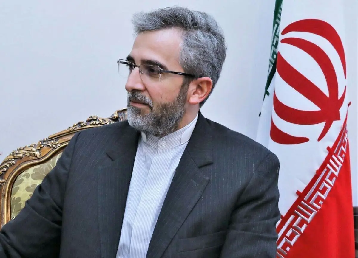 باقری: «فرصت ربایی» از ویژگی‌های دیپلماسی ایران است