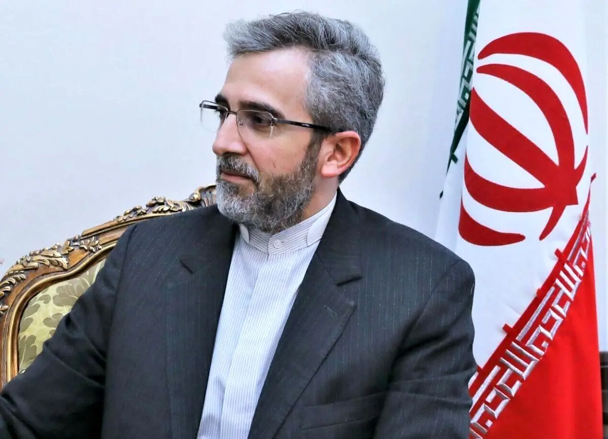 باقری: «فرصت ربایی» از ویژگی‌های دیپلماسی ایران است