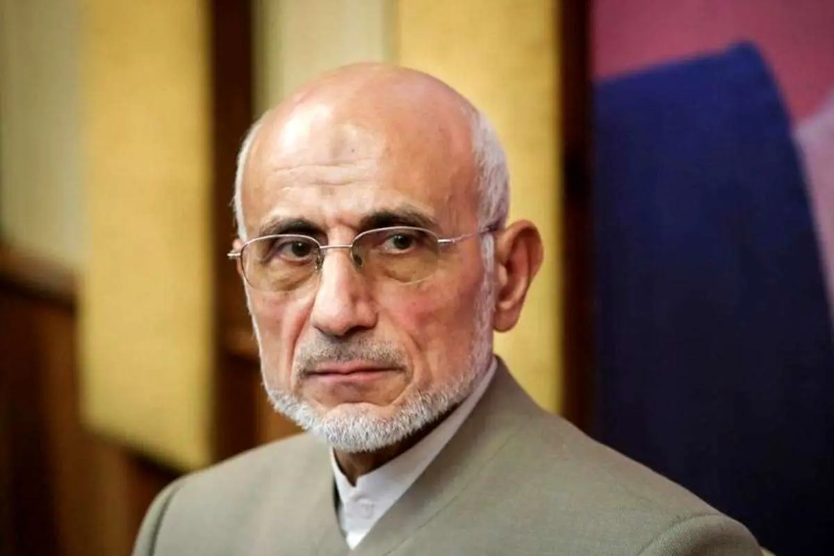 کنایه عباس عبدی به میرسلیم