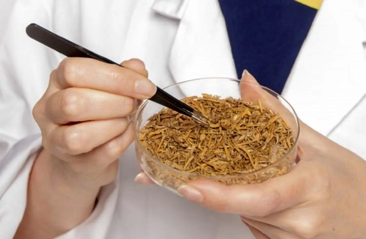 (تصاویر) کشف هزاران استخوان مرموز قورباغه در یک خانه باستانی