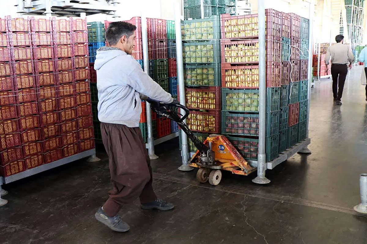 «روسها پول محمولهها را با تاخیر ۳ ماهه پرداخت میکنند»