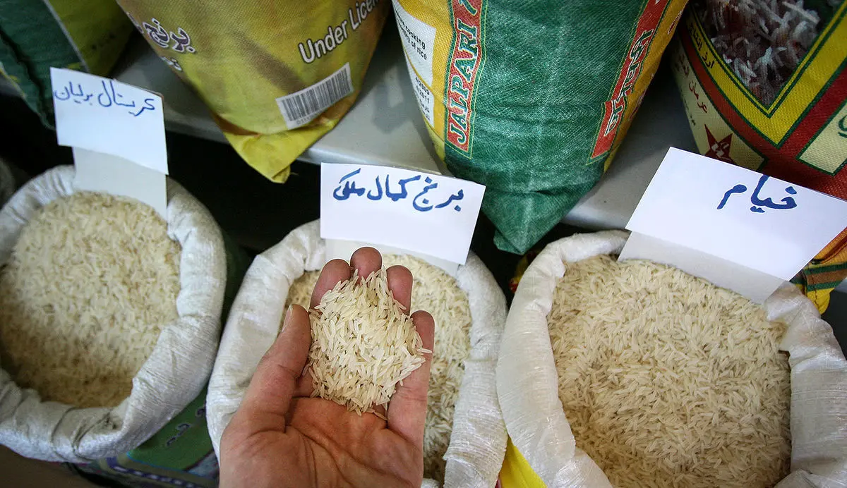 کاهش ۳۰ درصدی نرخ برنج داخلی؛ احتمال ریزش قیمت‌ها وجود دارد؟