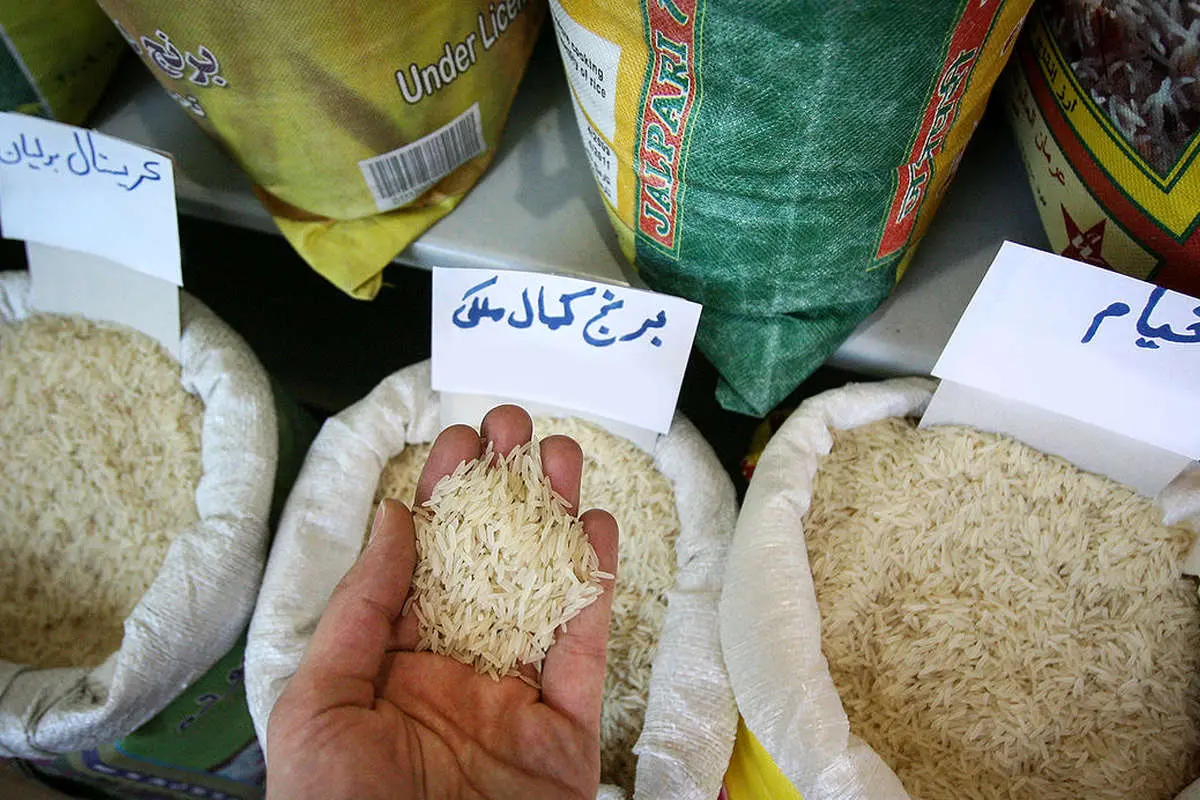 کاهش ۳۰ درصدی نرخ برنج داخلی؛ احتمال ریزش قیمت‌ها وجود دارد؟