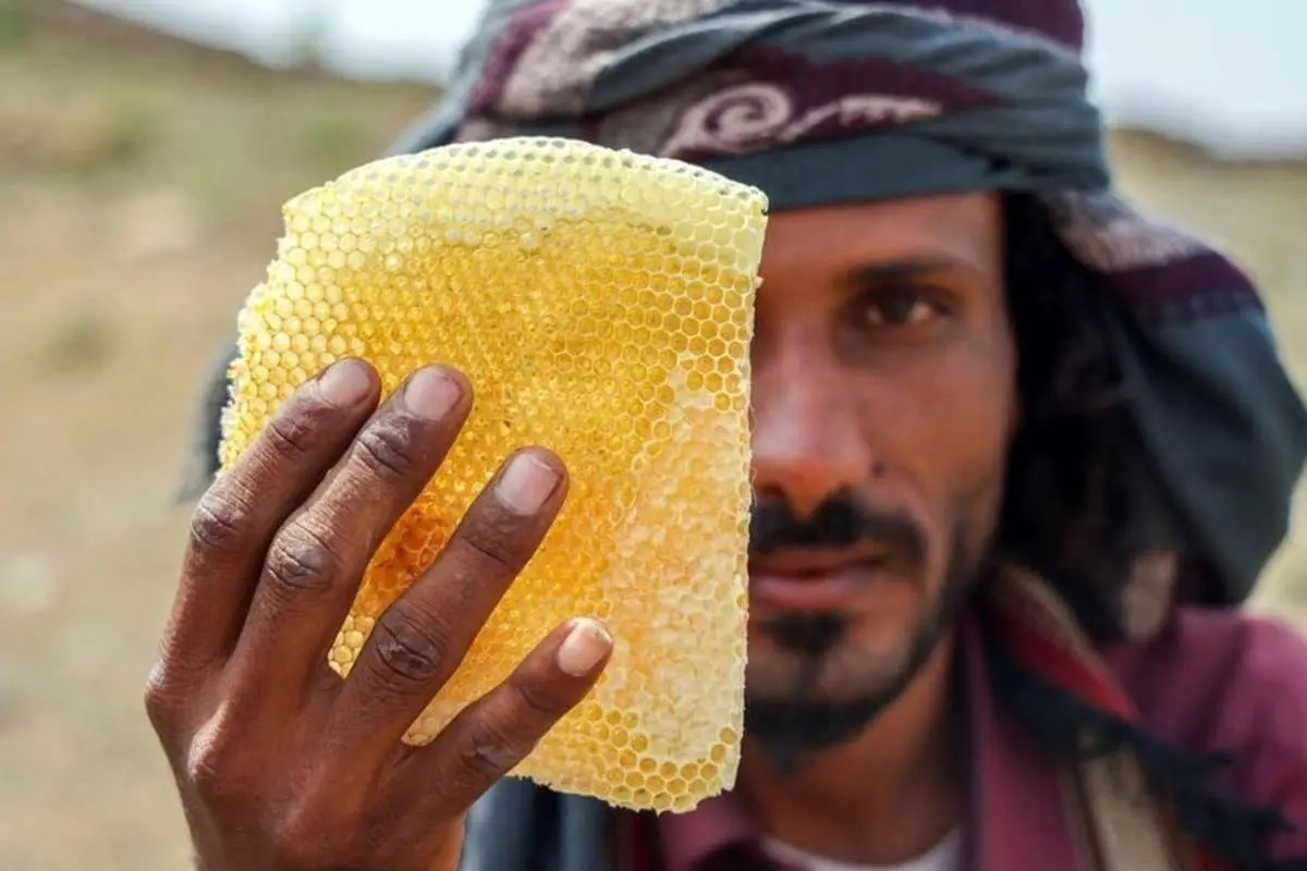 (ویدئو) بهترین عسل جهان در یمن؛ از تلخی جنگ تا تغییرات آب و هوایی