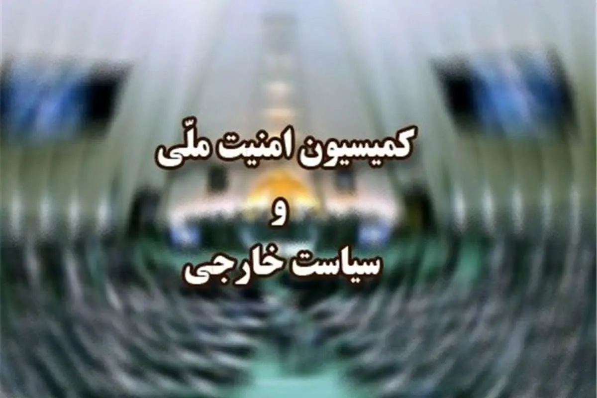 گزارش وزارت اطلاعات به مجلس درباره دستگیری یک تیم تروریستی