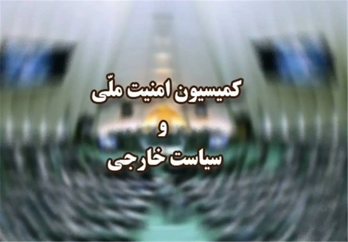 گزارش وزارت اطلاعات به مجلس درباره دستگیری یک تیم تروریستی