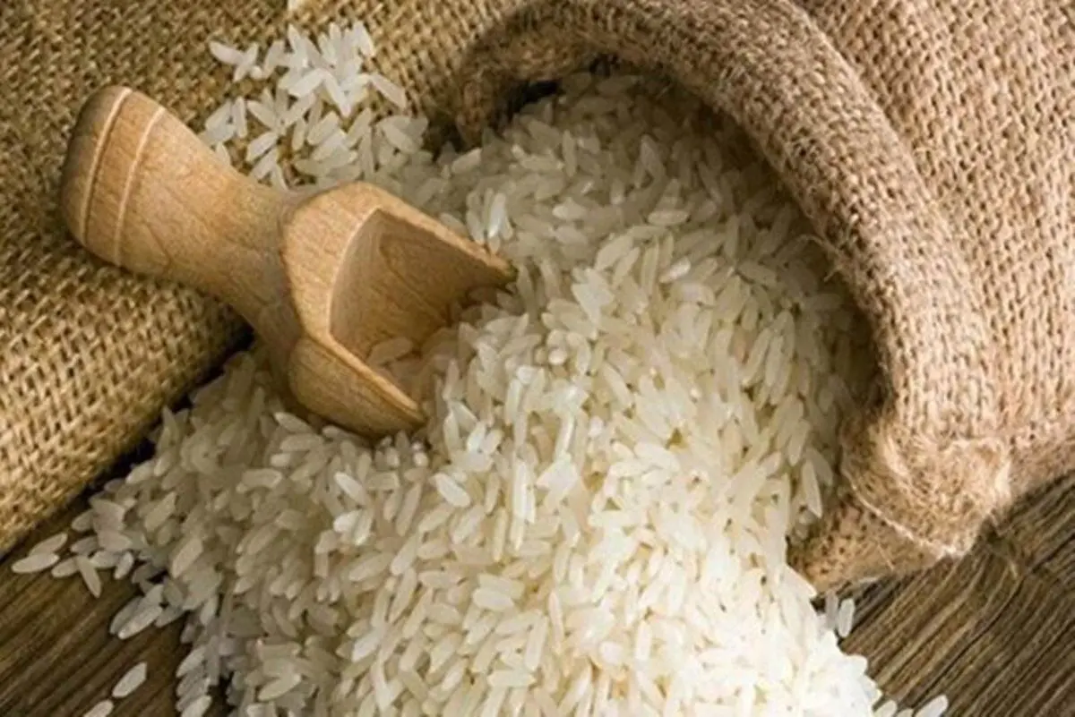 برنج‌های آب گرفته آزمایش می‌شوند