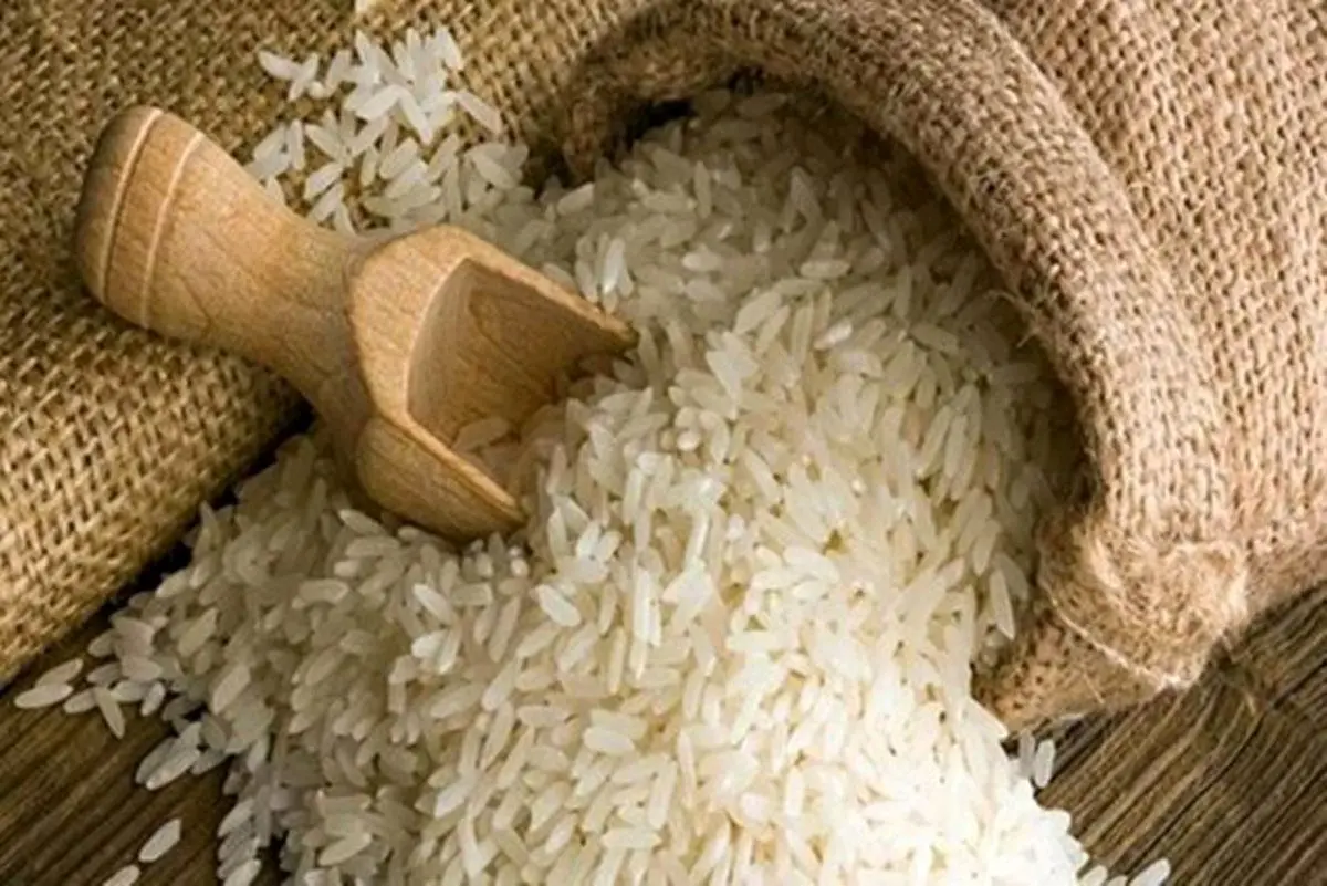 برنج‌های آب گرفته آزمایش می‌شوند