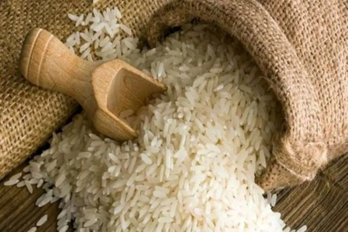 برنجهای آب گرفته آزمایش میشوند