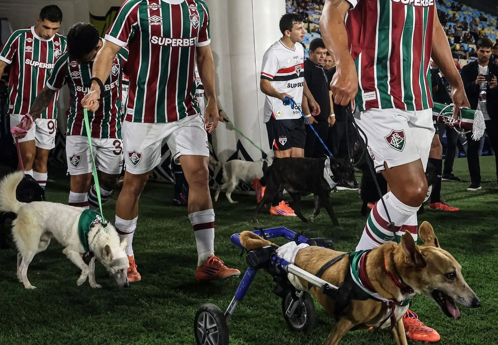 بازیکنان تیم فلومیننزه با سگ‌ها وارد زمین شدند