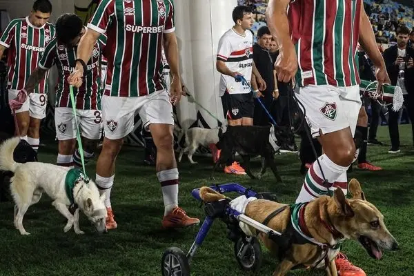 بازیکنان تیم فلومیننزه با سگ‌ها وارد زمین شدند