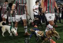 بازیکنان تیم فلومیننزه با سگ‌ها وارد زمین شدند