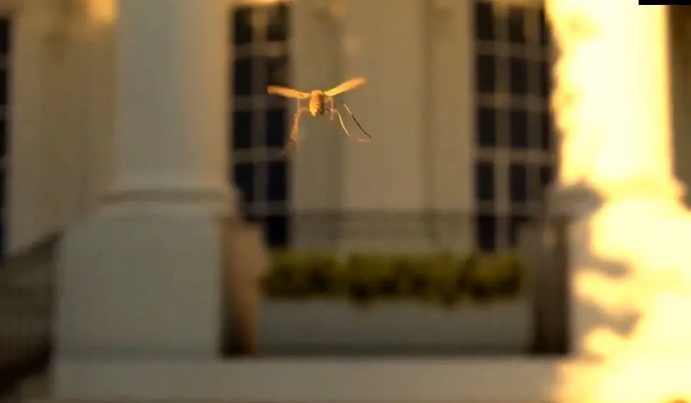 پهپاد ۴۰ گرمی شکار پشه وارد بازار می‌شود