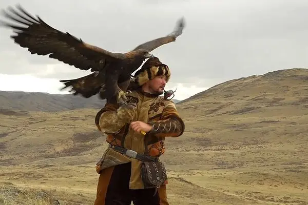 پرواز با شکوه شکارچیان آسمان