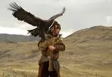 پرواز با شکوه شکارچیان آسمان