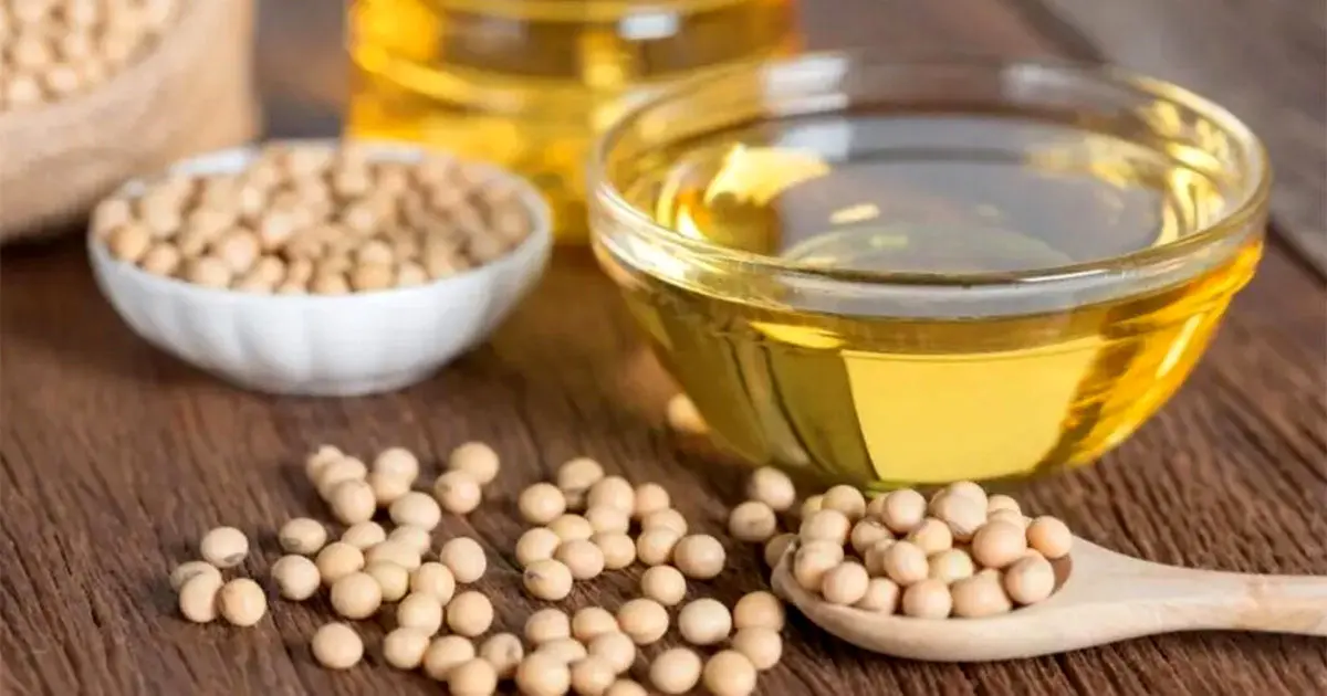 ۵ خاصیت شگفت‌انگیز سویا که نمی‌دانید!