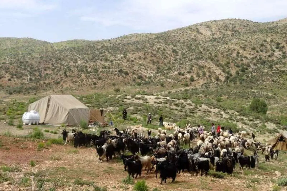خسارت ۲۰ میلیاردی به عشایر در سیل استان تهران
