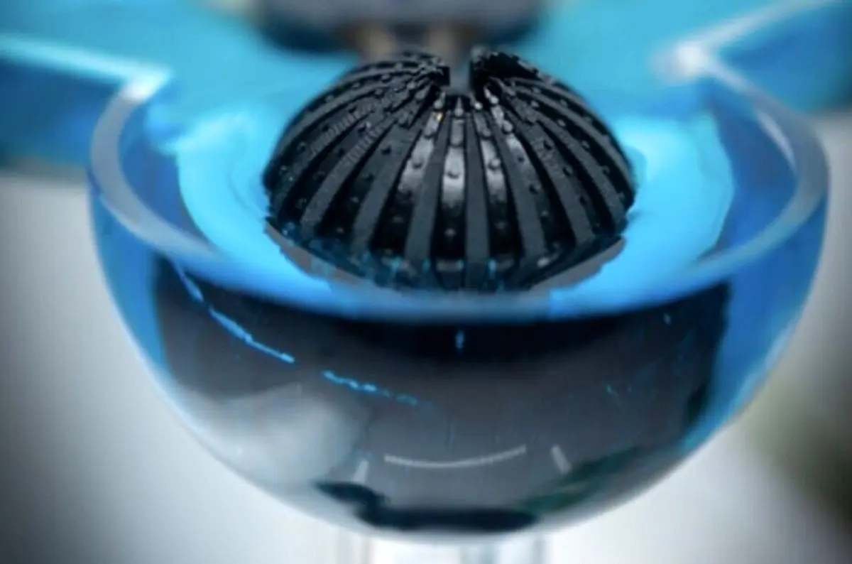 طراحی سیستم بینایی منحصر به فرد با الهام از خرچنگ!