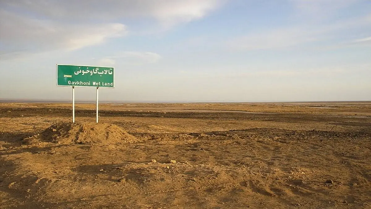 خون گاوخونی در شیشه خشکسالی